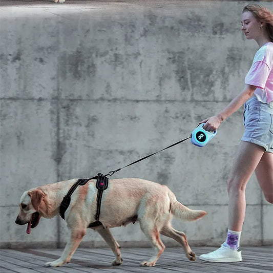 5M Automatic Retractable Dog Leash LED Luminous Leading Light Straps For Small Medium Dog Pet Flexi Walking Running Leashes